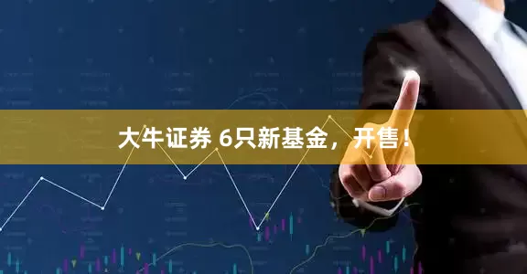 大牛证券 6只新基金，开售！